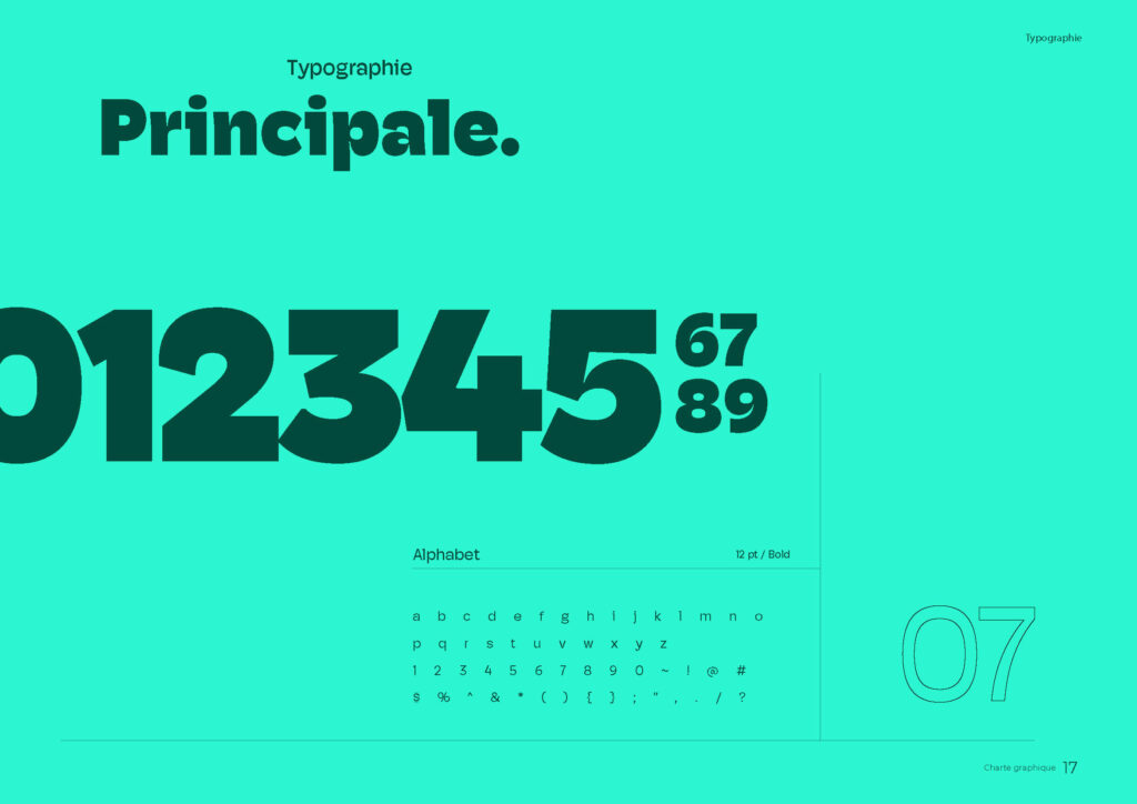 lejeune-gael-charte-graphique-skull-reef_Page_15