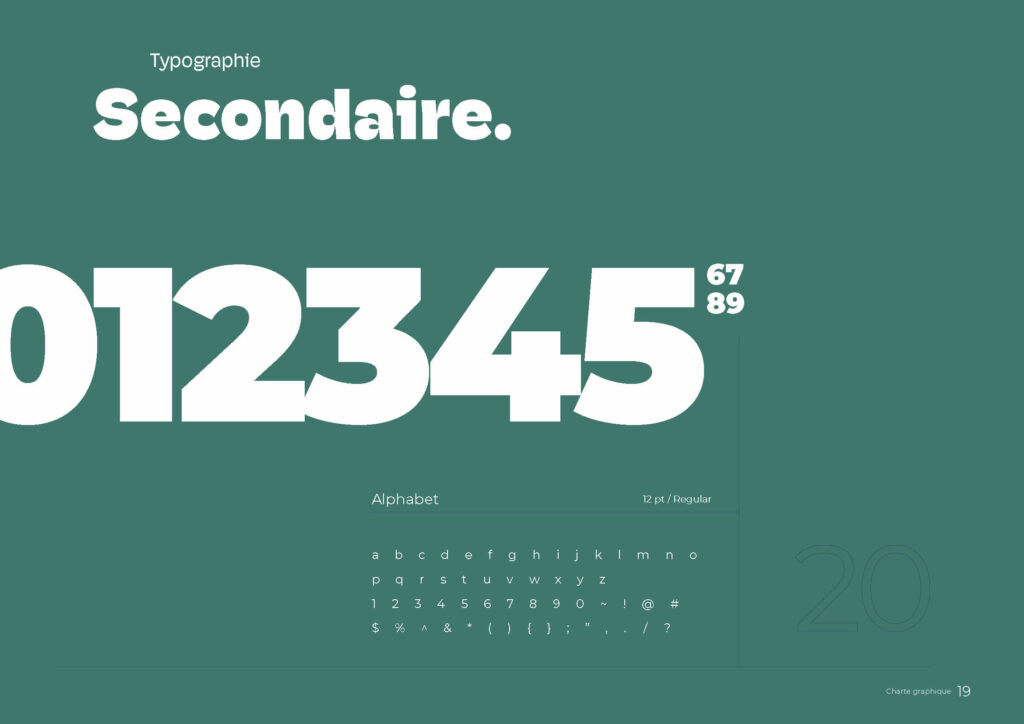 lejeune-gael-charte-graphique-skull-reef_Page_17