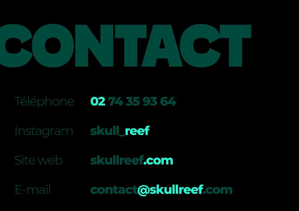 lejeune-gael-charte-graphique-skull-reef_Page_22